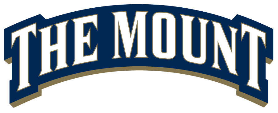 Mount St. Marys Mountaineers 2016-Pres Wordmark Logo v2 DIY iron on transfer (heat transfer)